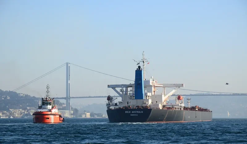 NEW LEONIDAS Bulk Carrier IMO 9260641 photo 6