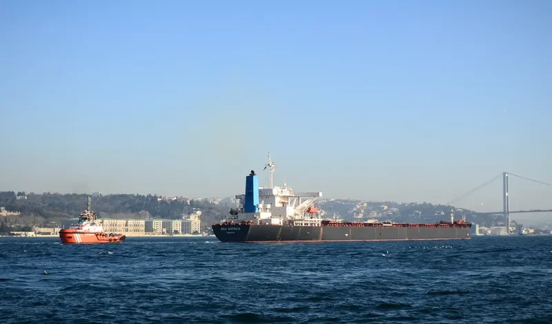NEW LEONIDAS Bulk Carrier IMO 9260641 photo 7