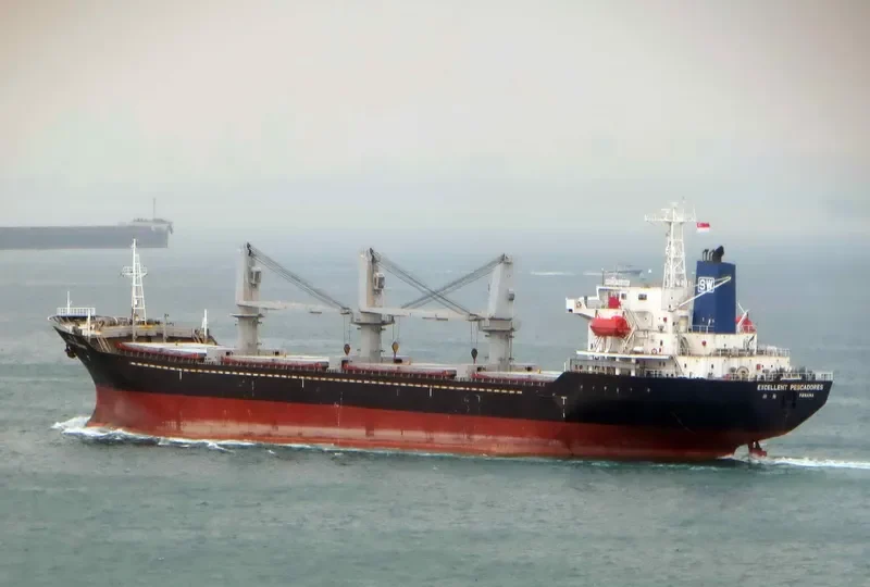 MAXIMUS I Bulk Carrier IMO 9260653 photo 5