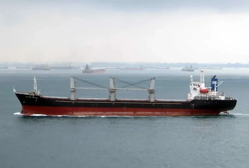 MAXIMUS I Bulk Carrier IMO 9260653 photo 6
