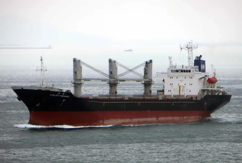 MAXIMUS I Bulk Carrier IMO 9260653 photo 7
