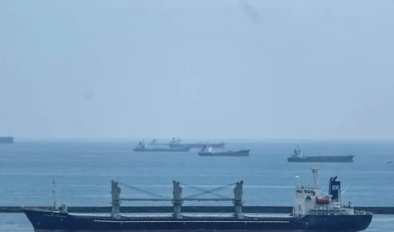 MAXIMUS I Bulk Carrier IMO 9260653 photo 8