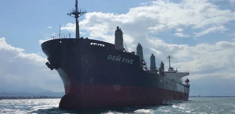DEM FIVE Bulk Carrier IMO 9261011