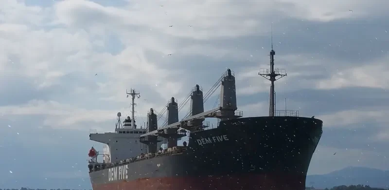 DEM FIVE Bulk Carrier IMO 9261011 photo 2