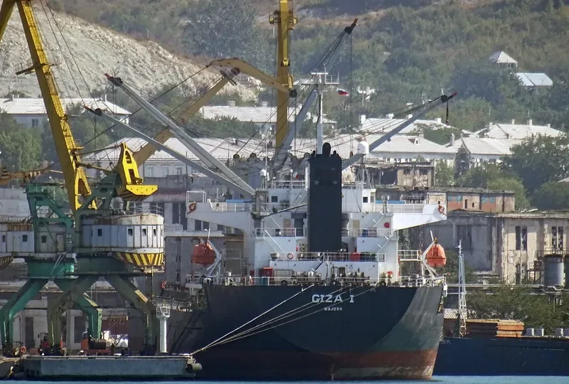 DEM FIVE Bulk Carrier IMO 9261011 photo 6