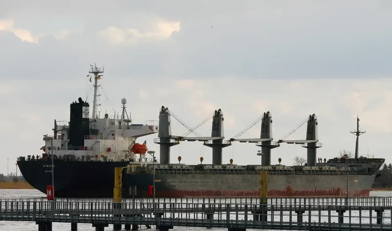 DEM FIVE Bulk Carrier IMO 9261011 photo 10