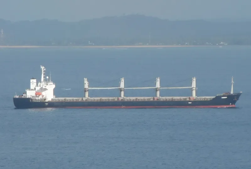 BINNUR C Bulk Carrier IMO 9261023