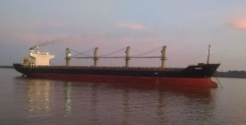 BINNUR C Bulk Carrier IMO 9261023 photo 2
