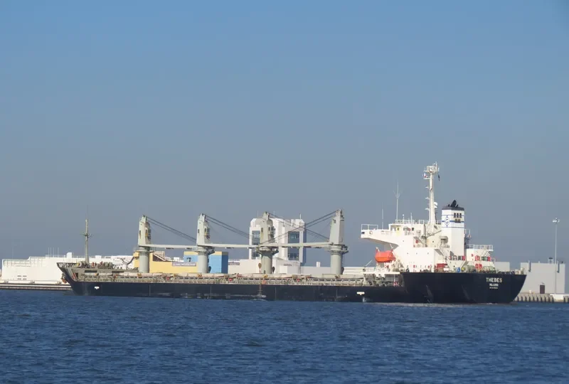 BINNUR C Bulk Carrier IMO 9261023 photo 3