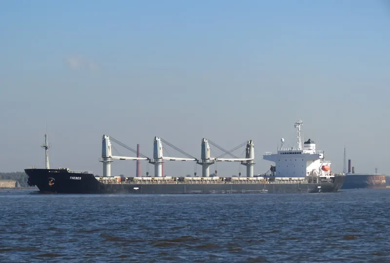 BINNUR C Bulk Carrier IMO 9261023 photo 4
