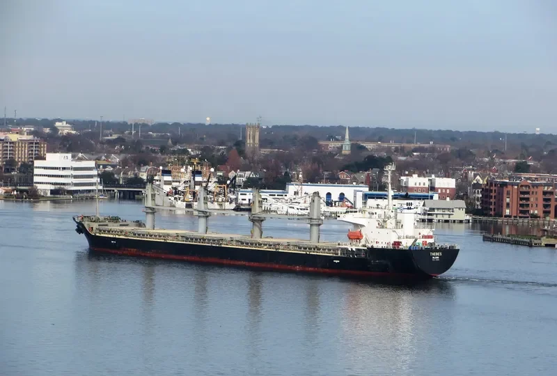 BINNUR C Bulk Carrier IMO 9261023 photo 5