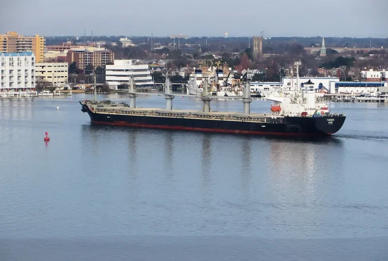 BINNUR C Bulk Carrier IMO 9261023 photo 6