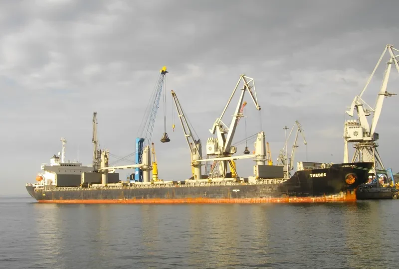 BINNUR C Bulk Carrier IMO 9261023 photo 7