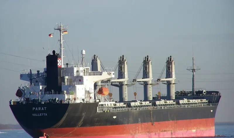 BINNUR C Bulk Carrier IMO 9261023 photo 8