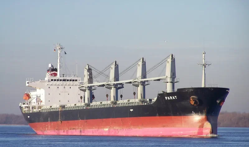 BINNUR C Bulk Carrier IMO 9261023 photo 9