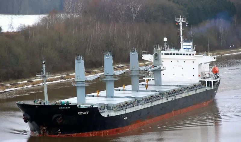 BINNUR C Bulk Carrier IMO 9261023 photo 10
