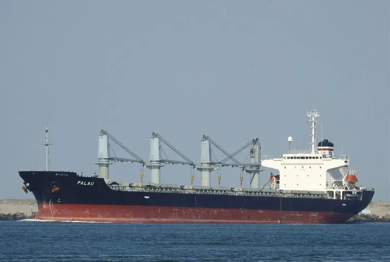 PALAU Bulk Carrier IMO 9261035 photo 3