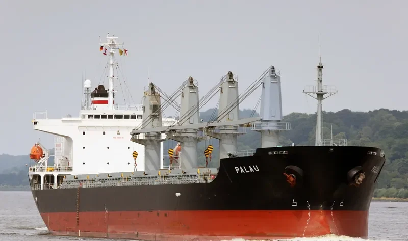 PALAU Bulk Carrier IMO 9261035 photo 6