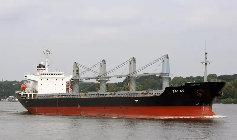 PALAU Bulk Carrier IMO 9261035 photo 7