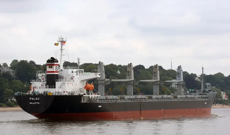 PALAU Bulk Carrier IMO 9261035 photo 8