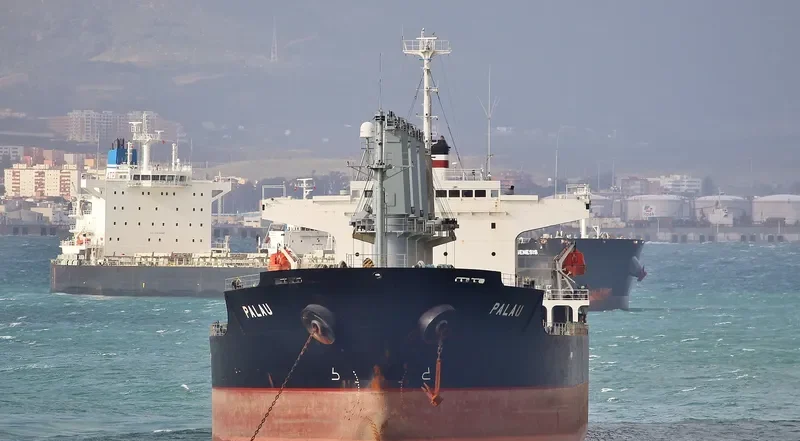 PALAU Bulk Carrier IMO 9261035 photo 9
