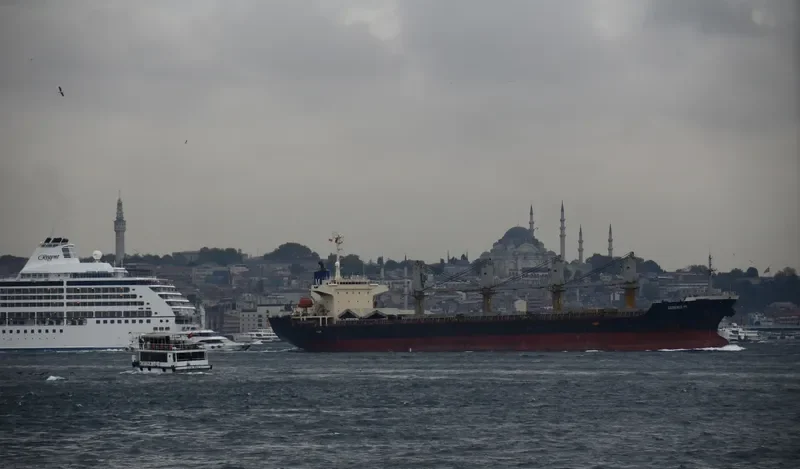 AKDENIZ M Bulk Carrier IMO 9261047 photo 6