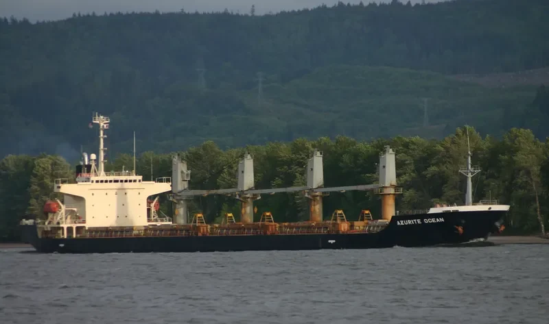 AKDENIZ M Bulk Carrier IMO 9261047 photo 7