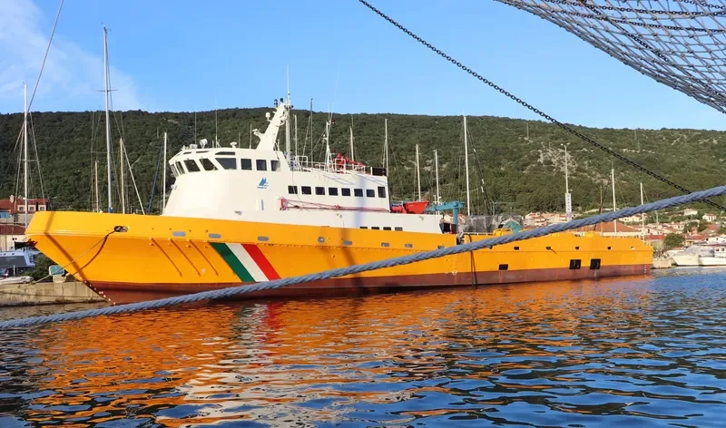 VOLO General Cargo IMO 9261308 photo 2