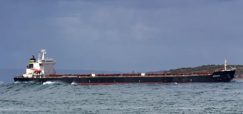 WAN MING FU QIANG Bulk Carrier IMO 9261360