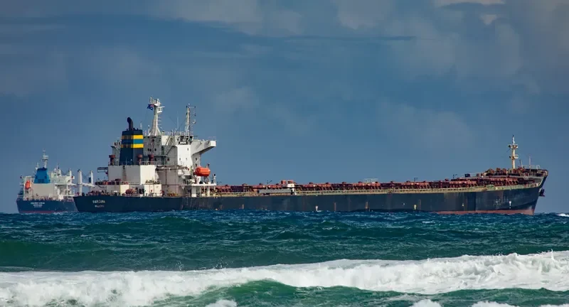 WAN MING FU QIANG Bulk Carrier IMO 9261360 photo 2