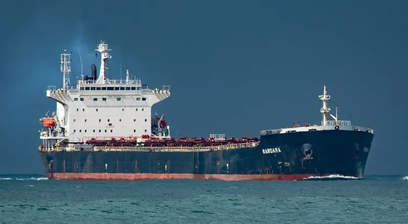 WAN MING FU QIANG Bulk Carrier IMO 9261360 photo 4