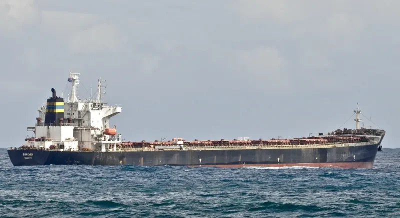 WAN MING FU QIANG Bulk Carrier IMO 9261360 photo 5