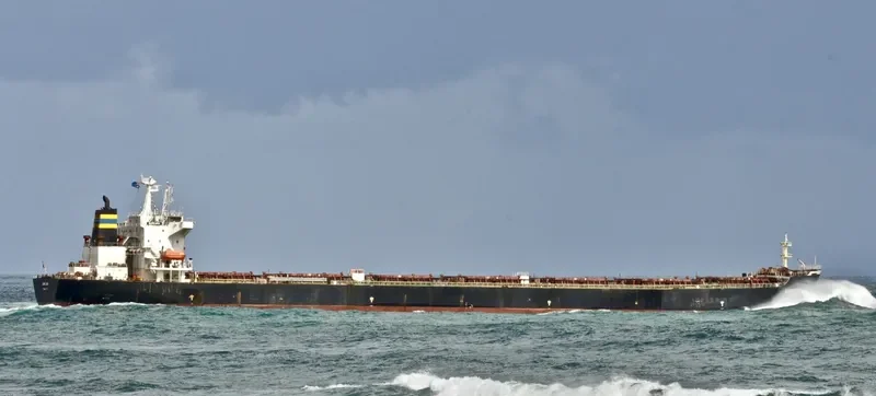 WAN MING FU QIANG Bulk Carrier IMO 9261360 photo 6