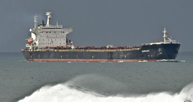 WAN MING FU QIANG Bulk Carrier IMO 9261360 photo 7