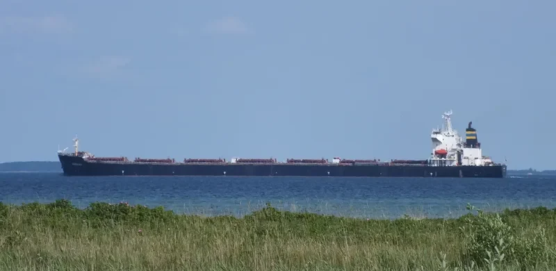 WAN MING FU QIANG Bulk Carrier IMO 9261360 photo 8