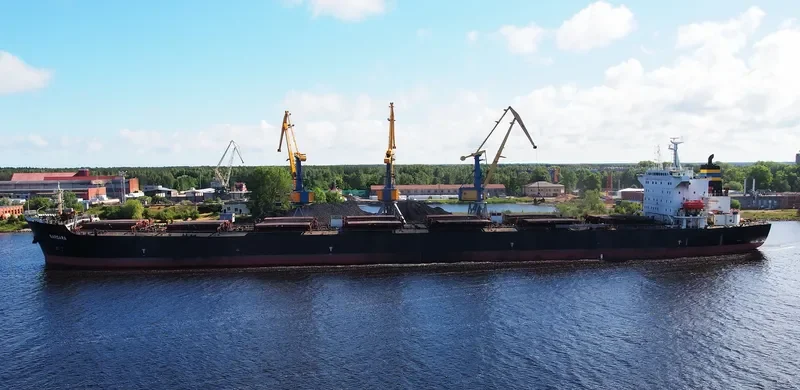 WAN MING FU QIANG Bulk Carrier IMO 9261360 photo 9