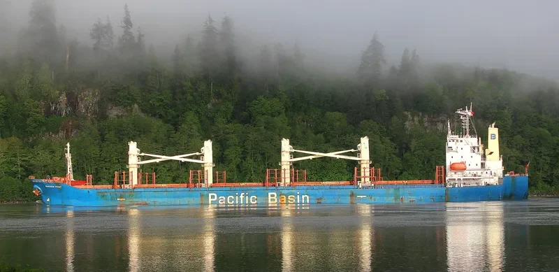 MARSDEN POINT Bulk Carrier IMO 9261750 photo 4