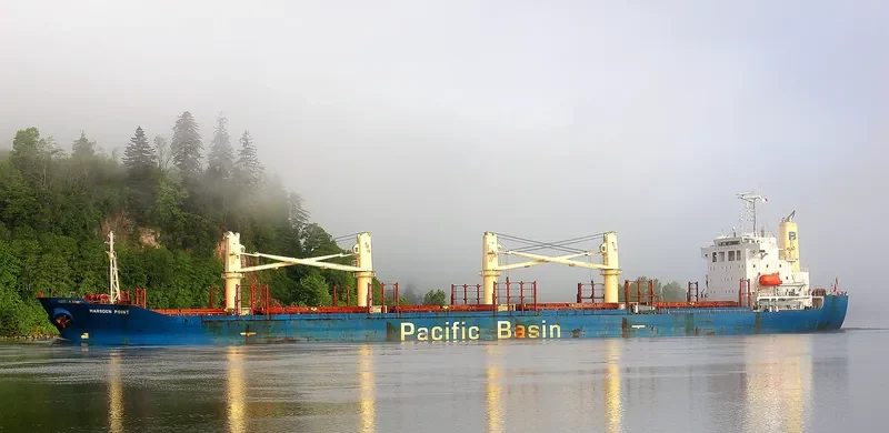 MARSDEN POINT Bulk Carrier IMO 9261750 photo 5