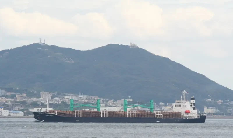 MARSDEN POINT Bulk Carrier IMO 9261750 photo 10