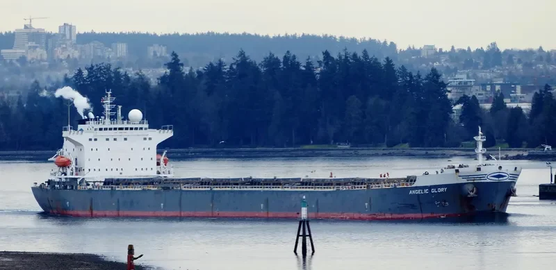 ERICA Bulk Carrier IMO 9261798 photo 2