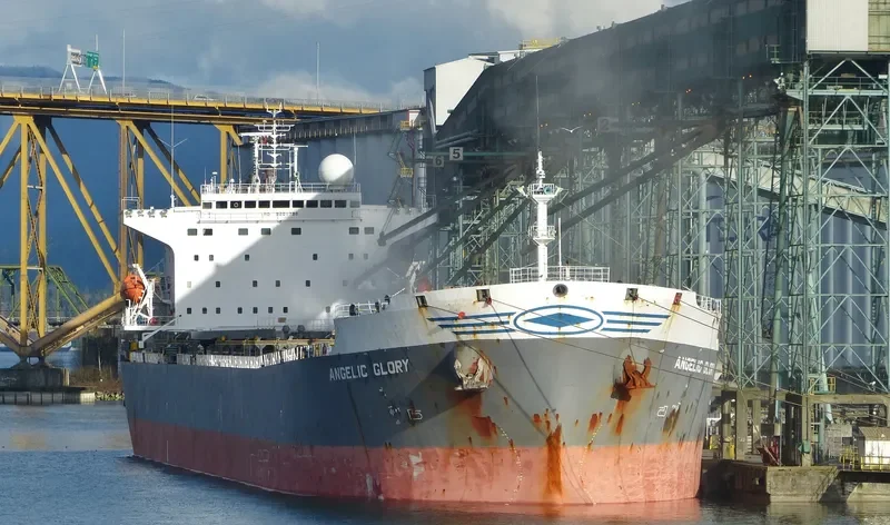 ERICA Bulk Carrier IMO 9261798 photo 6