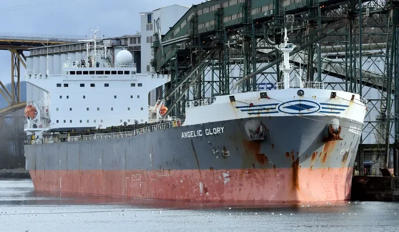 ERICA Bulk Carrier IMO 9261798 photo 7