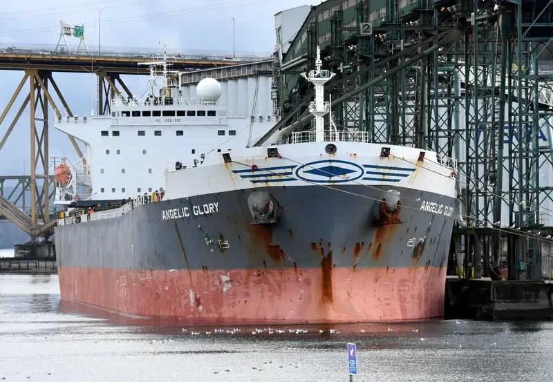 ERICA Bulk Carrier IMO 9261798 photo 8