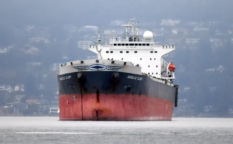 ERICA Bulk Carrier IMO 9261798 photo 9