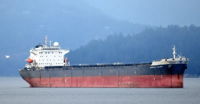 ERICA Bulk Carrier IMO 9261798 photo 10