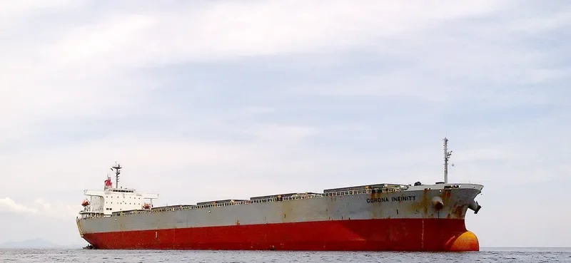 CORONA INFINITY Bulk Carrier IMO 9261932