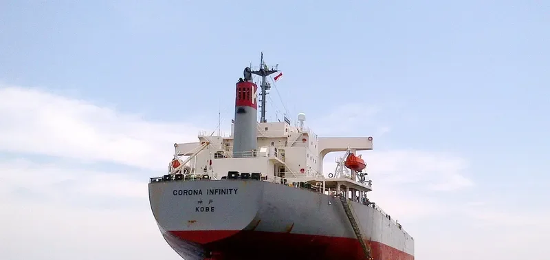 CORONA INFINITY Bulk Carrier IMO 9261932 photo 2