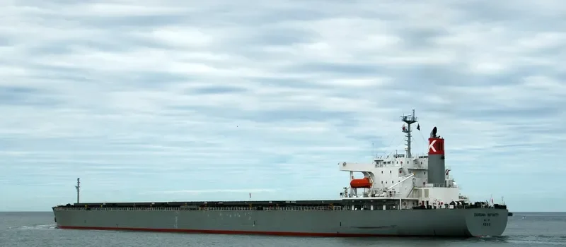 CORONA INFINITY Bulk Carrier IMO 9261932 photo 4