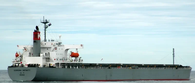 CORONA INFINITY Bulk Carrier IMO 9261932 photo 5