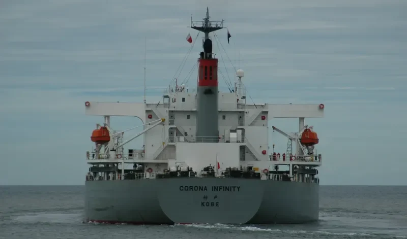 CORONA INFINITY Bulk Carrier IMO 9261932 photo 6